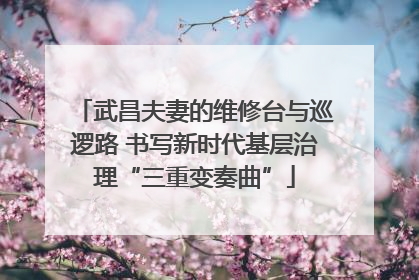 武昌夫妻的维修台与巡逻路 书写新时代基层治理“三重变奏曲”