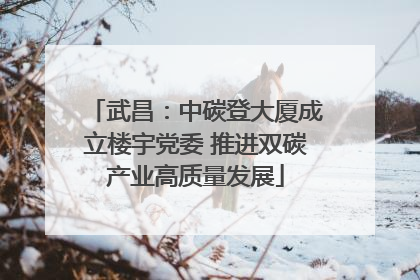 武昌：中碳登大厦成立楼宇党委 推进双碳产业高质量发展