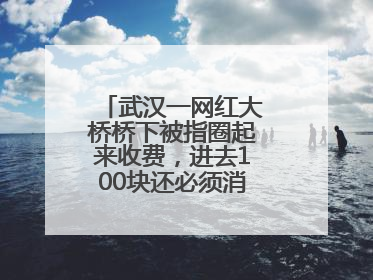 武汉一网红大桥桥下被指圈起来收费，进去100块还必须消费？当地回应