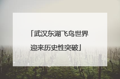 武汉东湖飞鸟世界迎来历史性突破