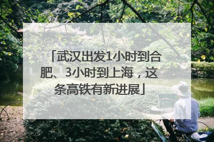 武汉出发1小时到合肥、3小时到上海，这条高铁有新进展