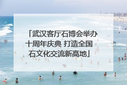 武汉客厅石博会举办十周年庆典 打造全国石文化交流新高地