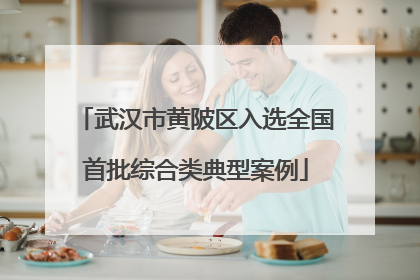 武汉市黄陂区入选全国首批综合类典型案例