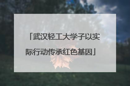 武汉轻工大学子以实际行动传承红色基因