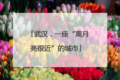 武汉，一座“离月亮很近”的城市