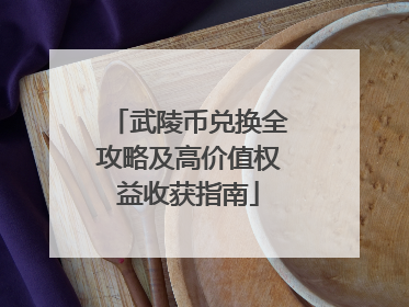武陵币兑换全攻略及高价值权益收获指南