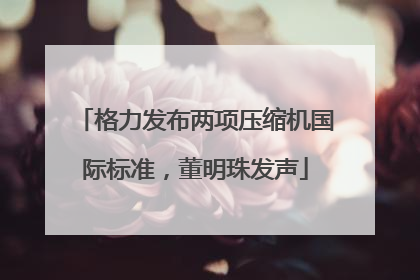 格力发布两项压缩机国际标准，董明珠发声