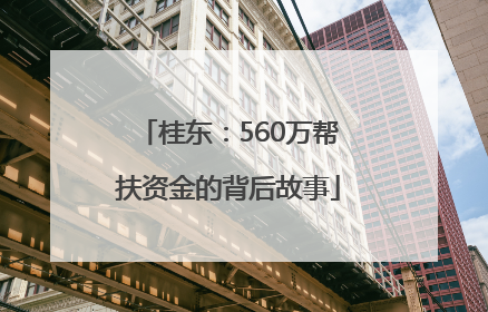 桂东：560万帮扶资金的背后故事