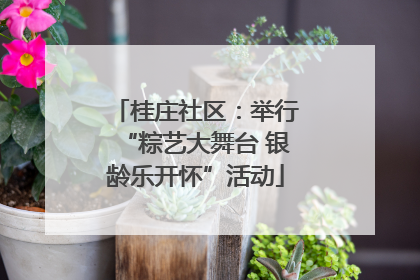 桂庄社区：举行“粽艺大舞台 银龄乐开怀”活动