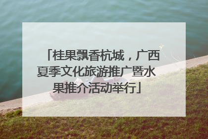 桂果飘香杭城，广西夏季文化旅游推广暨水果推介活动举行