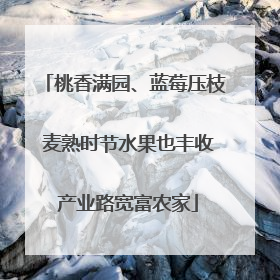 桃香满园、蓝莓压枝 麦熟时节水果也丰收 产业路宽富农家