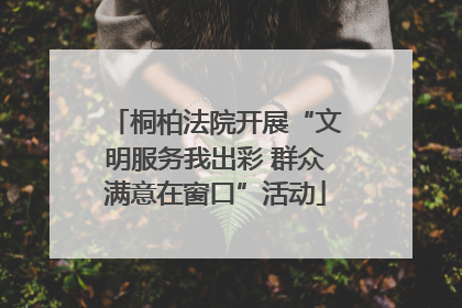 桐柏法院开展“文明服务我出彩 群众满意在窗口”活动