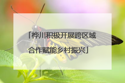 桦川积极开展跨区域合作赋能乡村振兴