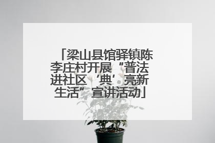 梁山县馆驿镇陈李庄村开展“普法进社区‘典’亮新生活”宣讲活动