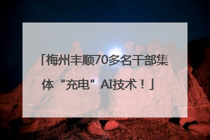 梅州丰顺70多名干部集体“充电”AI技术！