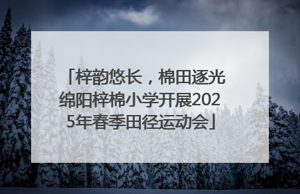 梓韵悠长，棉田逐光 绵阳梓棉小学开展2025年春季田径运动会