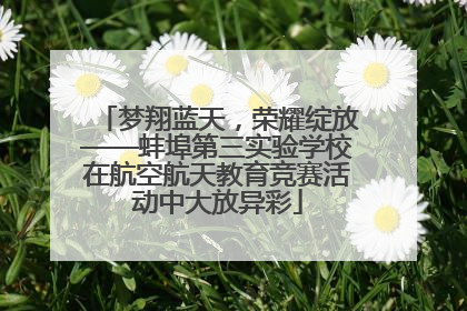 梦翔蓝天，荣耀绽放——蚌埠第三实验学校在航空航天教育竞赛活动中大放异彩