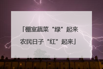 棚室蔬菜“绿”起来 农民日子“红”起来