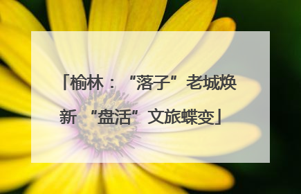 榆林：“落子”老城焕新 “盘活”文旅蝶变
