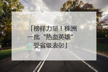 榜样力量！株洲一批“热血英雄”受省级表彰
