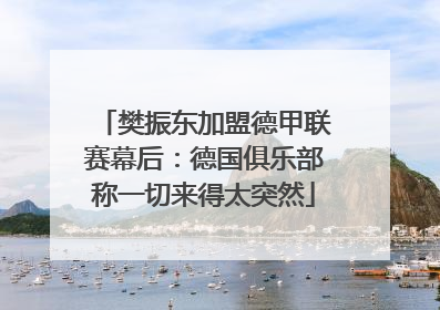 樊振东加盟德甲联赛幕后：德国俱乐部称一切来得太突然