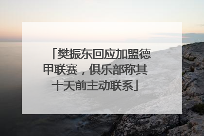 樊振东回应加盟德甲联赛，俱乐部称其十天前主动联系