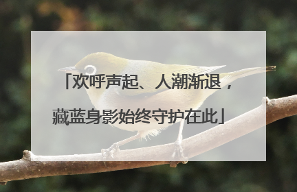 欢呼声起、人潮渐退，藏蓝身影始终守护在此