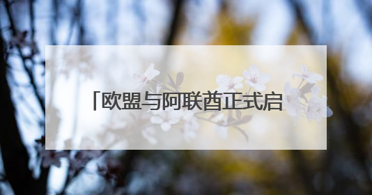 欧盟与阿联酋正式启动自由贸易协定谈判