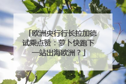 欧洲央行行长拉加德试乘点赞：萝卜快跑下一站出海欧洲？