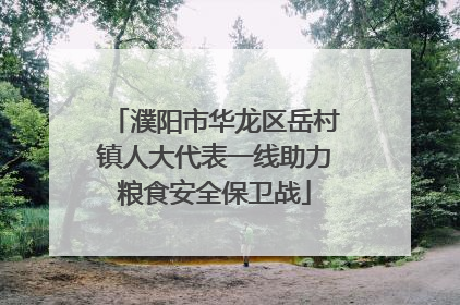 濮阳市华龙区岳村镇人大代表一线助力粮食安全保卫战