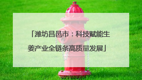 潍坊昌邑市：科技赋能生姜产业全链条高质量发展