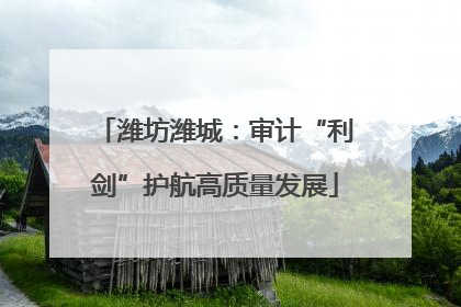 潍坊潍城：审计“利剑”护航高质量发展