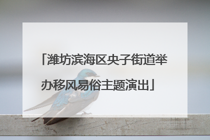 潍坊滨海区央子街道举办移风易俗主题演出