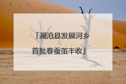澜沧县发展河乡首批春蚕茧丰收