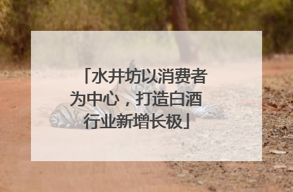 水井坊以消费者为中心，打造白酒行业新增长极