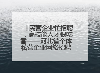 民营企业忙招聘，高技能人才很吃香——河北省个体私营企业网络招聘大会扫描