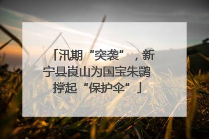 汛期“突袭”，新宁县崀山为国宝朱鹮撑起“保护伞”