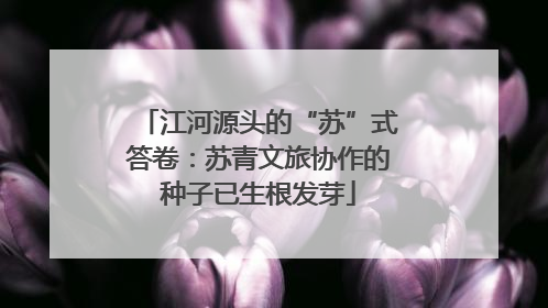 江河源头的“苏”式答卷：苏青文旅协作的种子已生根发芽