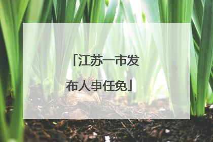 江苏一市发布人事任免