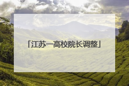 江苏一高校院长调整