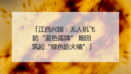 江西兴国：无人机飞防“蓝色盾牌” 烟田筑起“绿色防火墙”