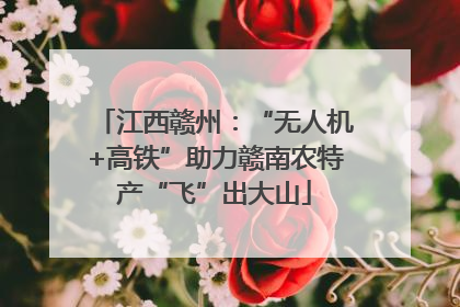 江西赣州：“无人机+高铁”助力赣南农特产“飞”出大山