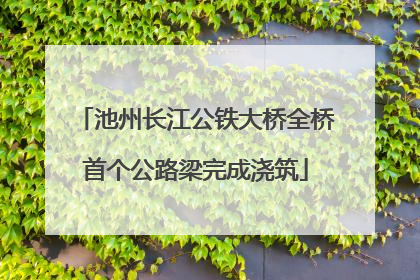 池州长江公铁大桥全桥首个公路梁完成浇筑
