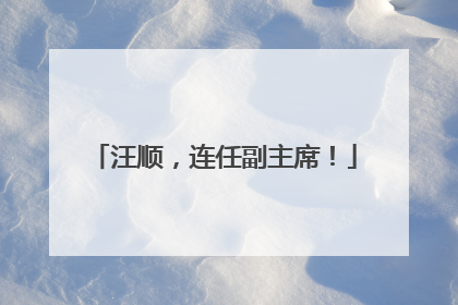 汪顺，连任副主席！