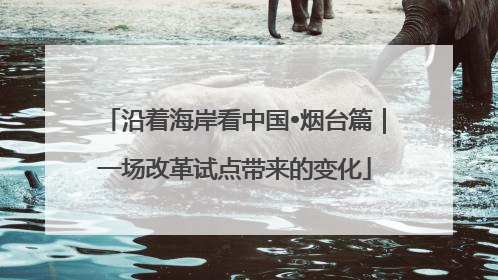 沿着海岸看中国•烟台篇｜一场改革试点带来的变化
