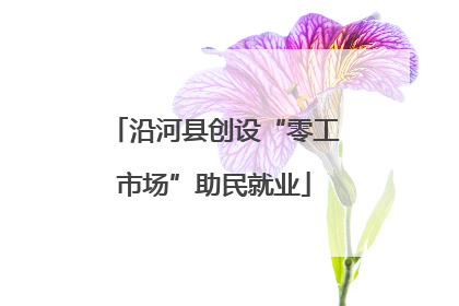 沿河县创设“零工市场”助民就业