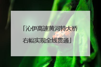 沁伊高速黄河特大桥右幅实现全线贯通