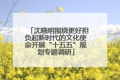 沈晓明围绕更好担负起新时代的文化使命开展“十五五”规划专题调研