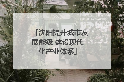 沈阳提升城市发展能级 建设现代化产业体系