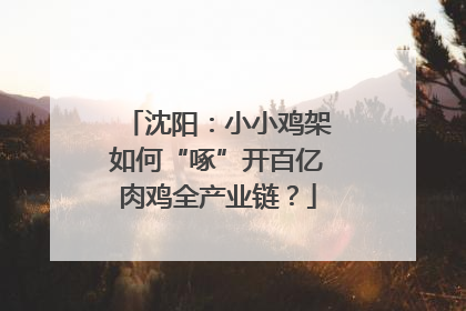 沈阳：小小鸡架如何“啄”开百亿肉鸡全产业链？